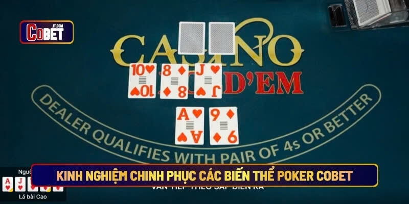 Kinh nghiệm chinh phục các biến thể Poker Cobet