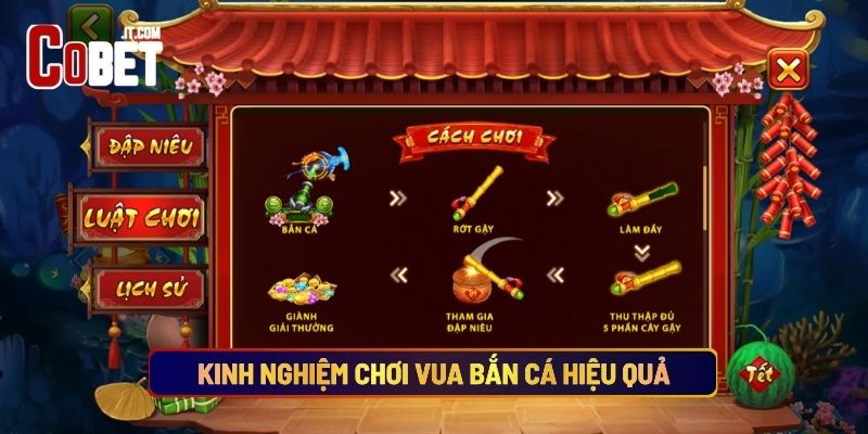 Kinh Nghiệm Chơi Vua Bắn Cá Hiệu Quả