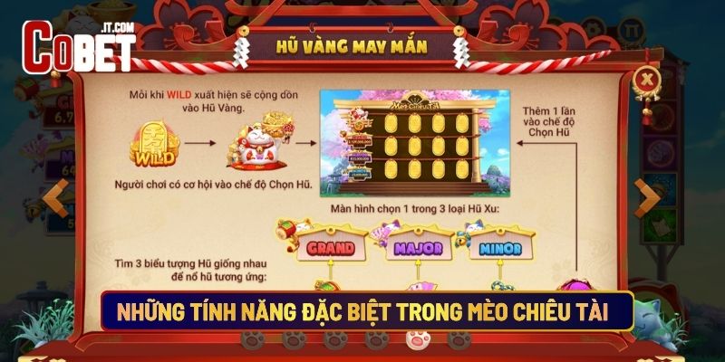 Những Tính Năng Đặc Biệt Trong Mèo Chiêu Tài