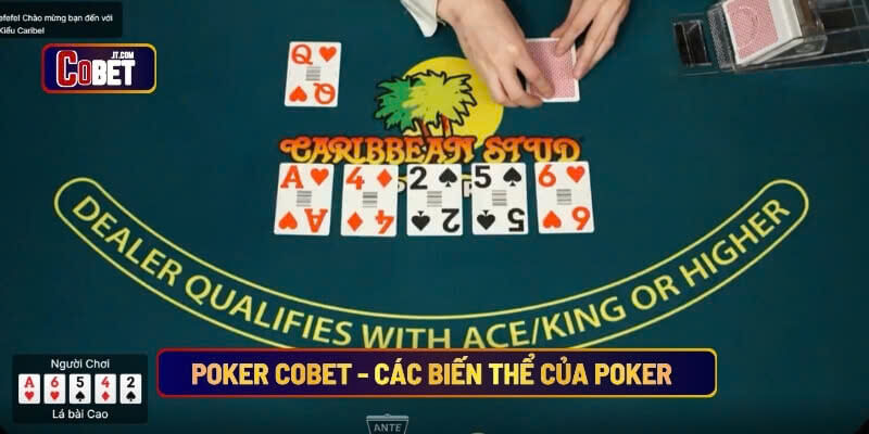 Poker Cobet các biến thể của Poker mà người chơi cần biết